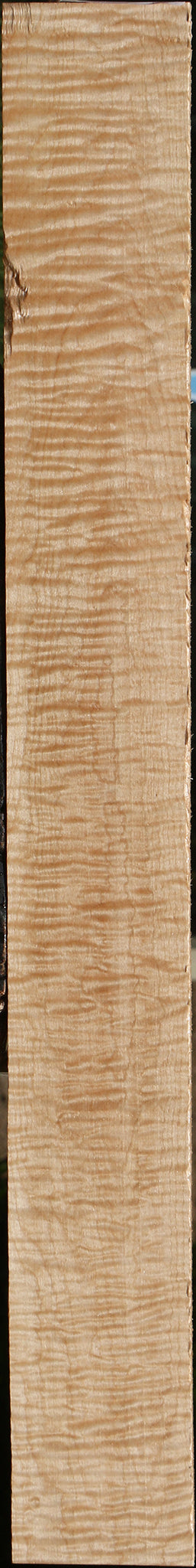 Extra Fancy Curly Eastern Red Maple Lumber