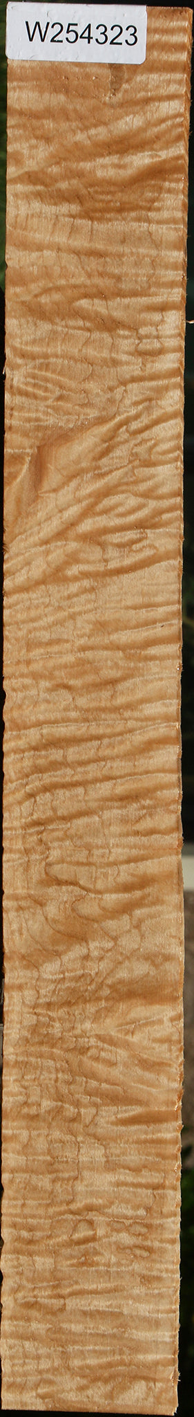 Extra Fancy Curly Eastern Red Maple Lumber