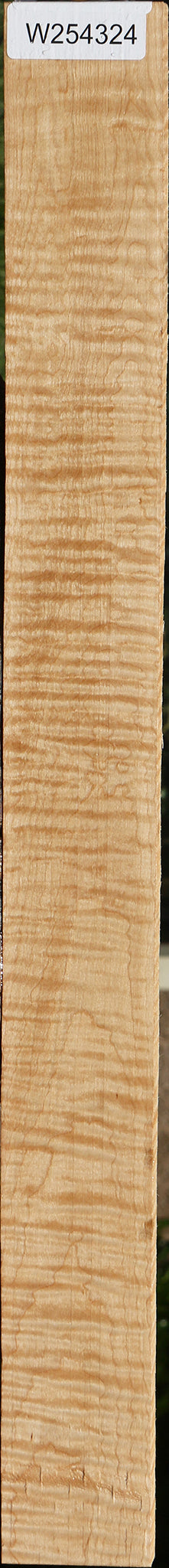 Extra Fancy Curly Eastern Red Maple Lumber