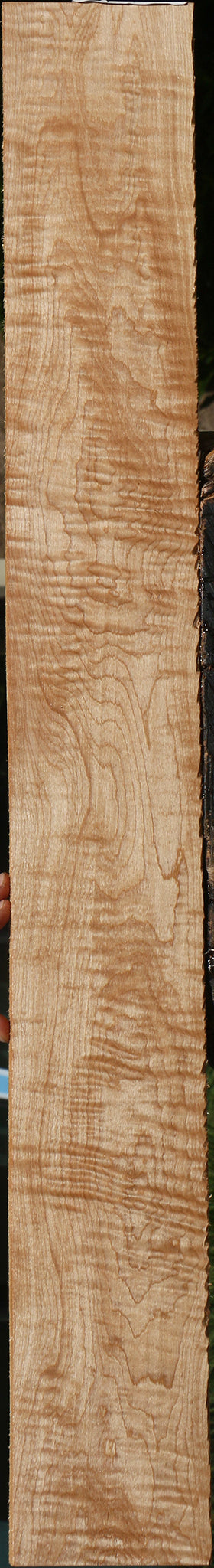 Extra Fancy Curly Eastern Red Maple Micro Lumber