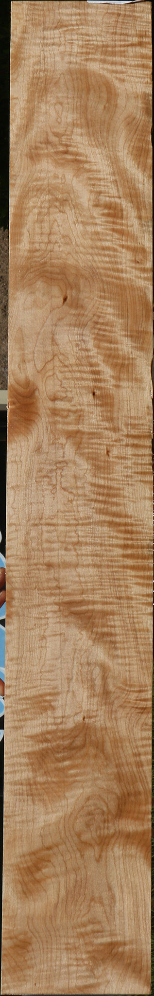 Extra Fancy Curly Eastern Red Maple Micro Lumber