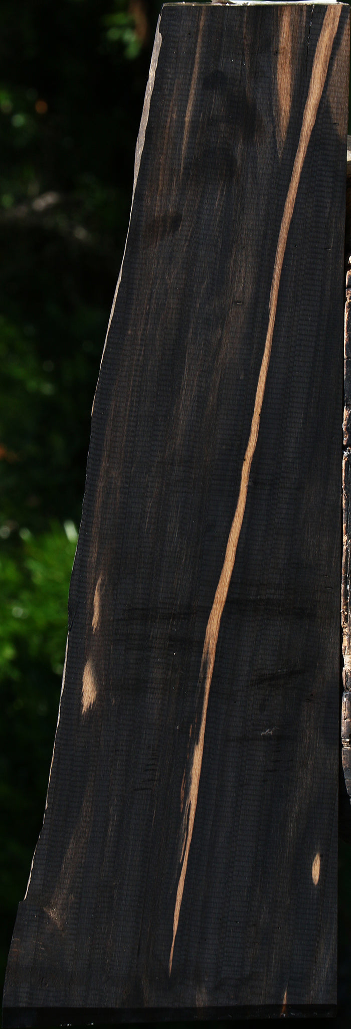 Gabon Ebony Live Edge Lumber