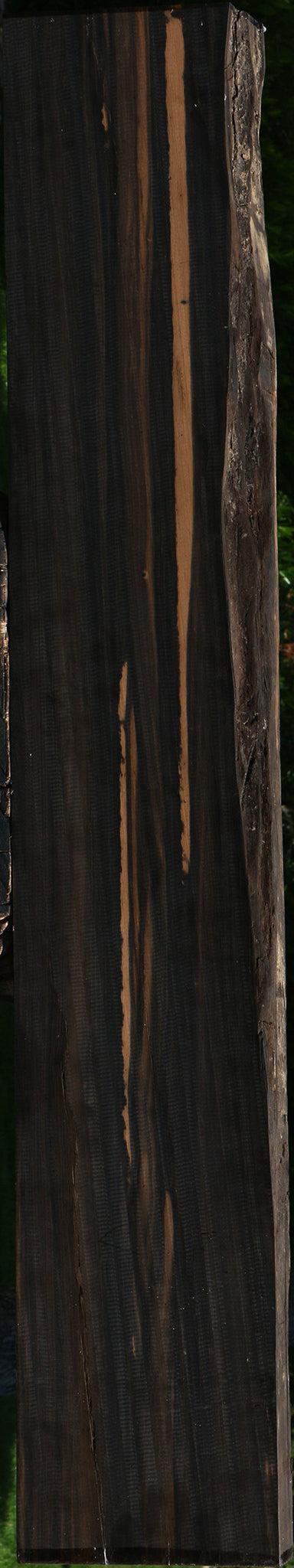 Gabon Ebony Live Edge Lumber