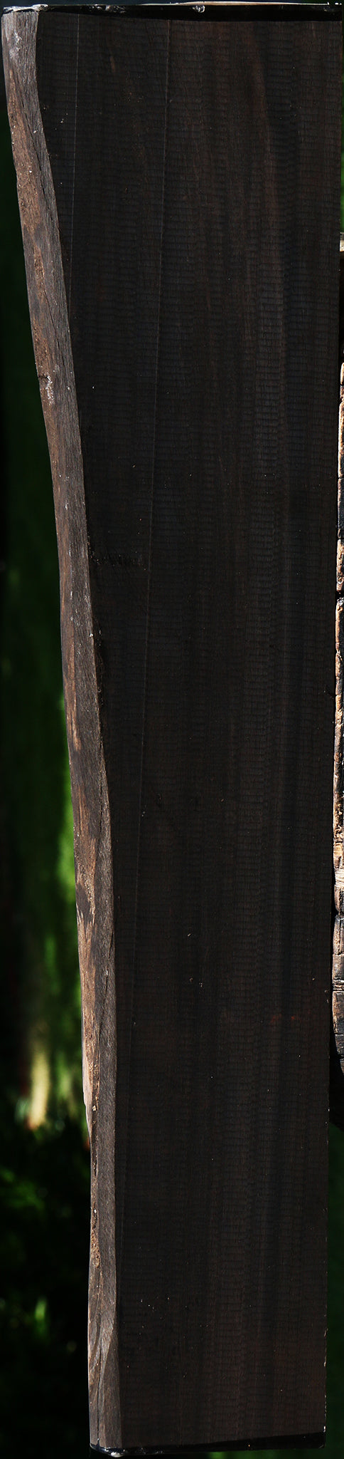 Gabon Ebony Live Edge Lumber