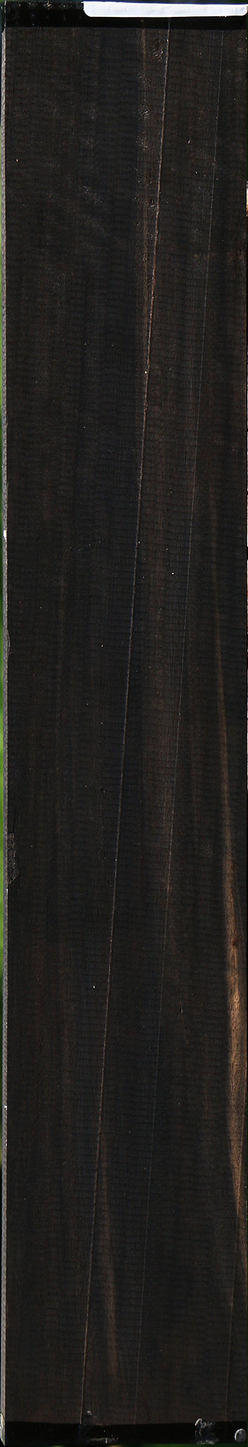 Fiddleback Gabon Ebony Micro Lumber
