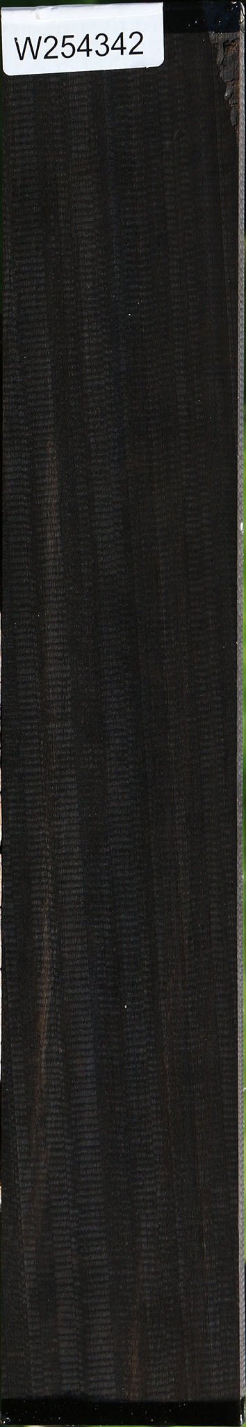 Fiddleback Gabon Ebony Micro Lumber