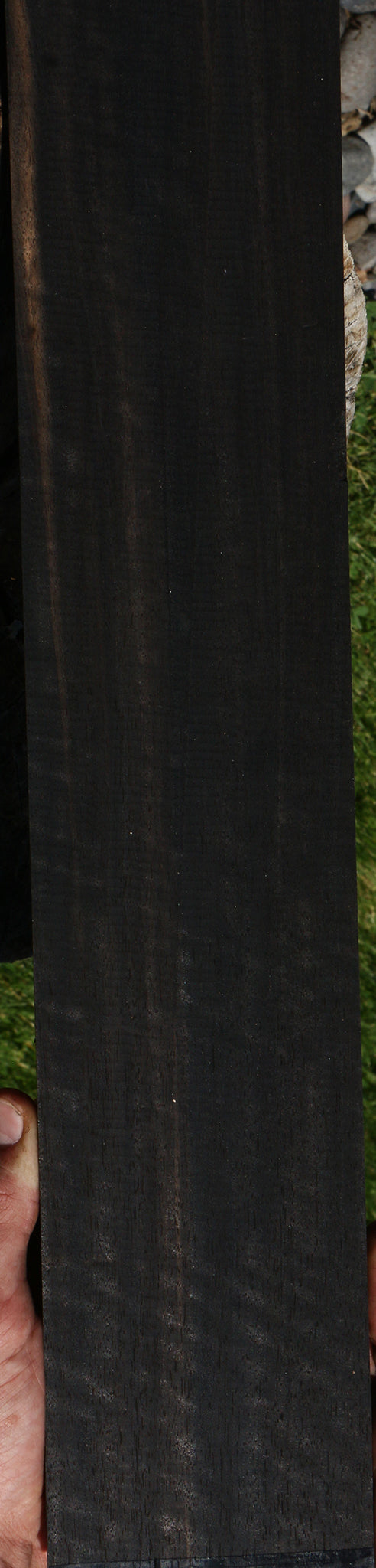 Fiddleback Gabon Ebony Micro Lumber