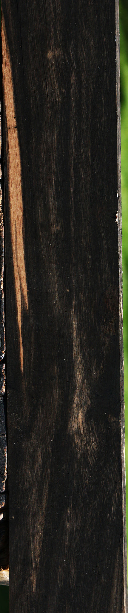 Gabon Ebony Micro Lumber