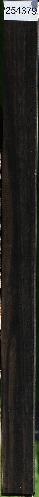 Gabon Ebony Micro Lumber