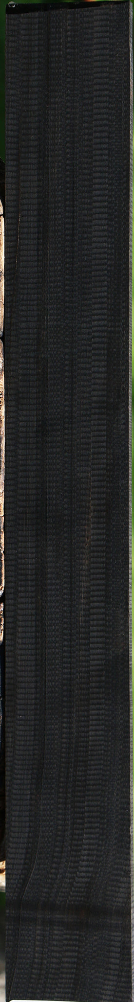 Gabon Ebony Micro Lumber
