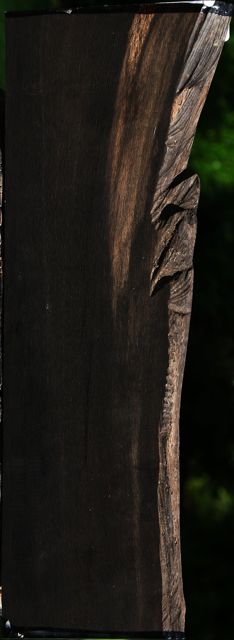 Gabon Ebony Live Edge Lumber