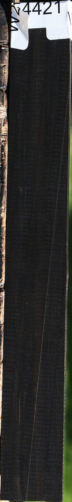 Gabon Ebony Micro Lumber