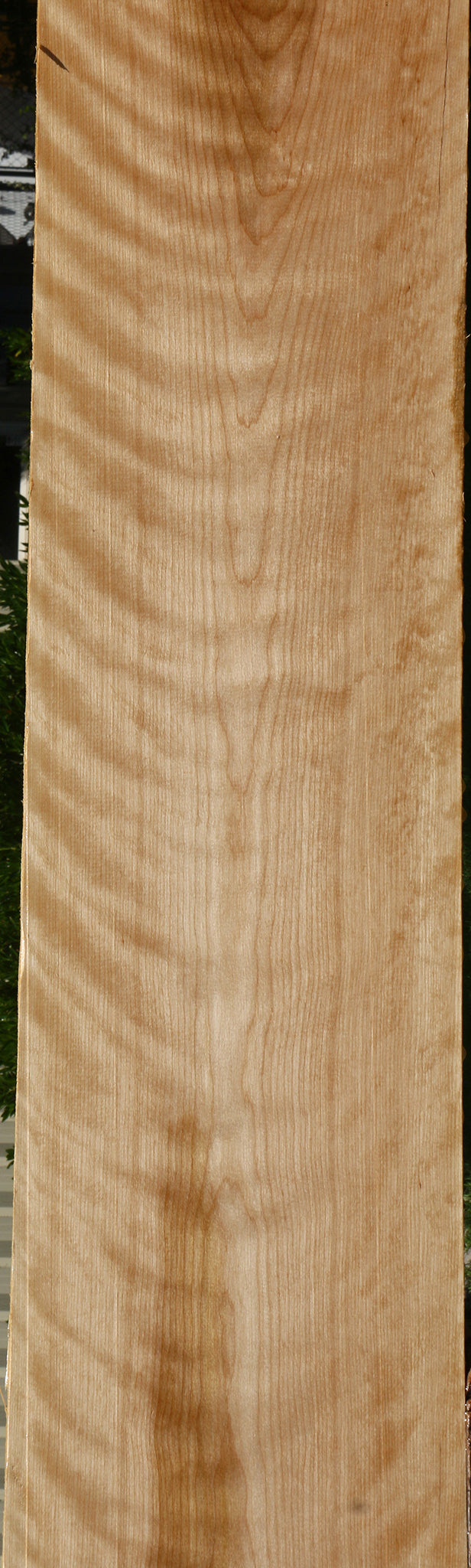 Figured Curly Birch Lumber