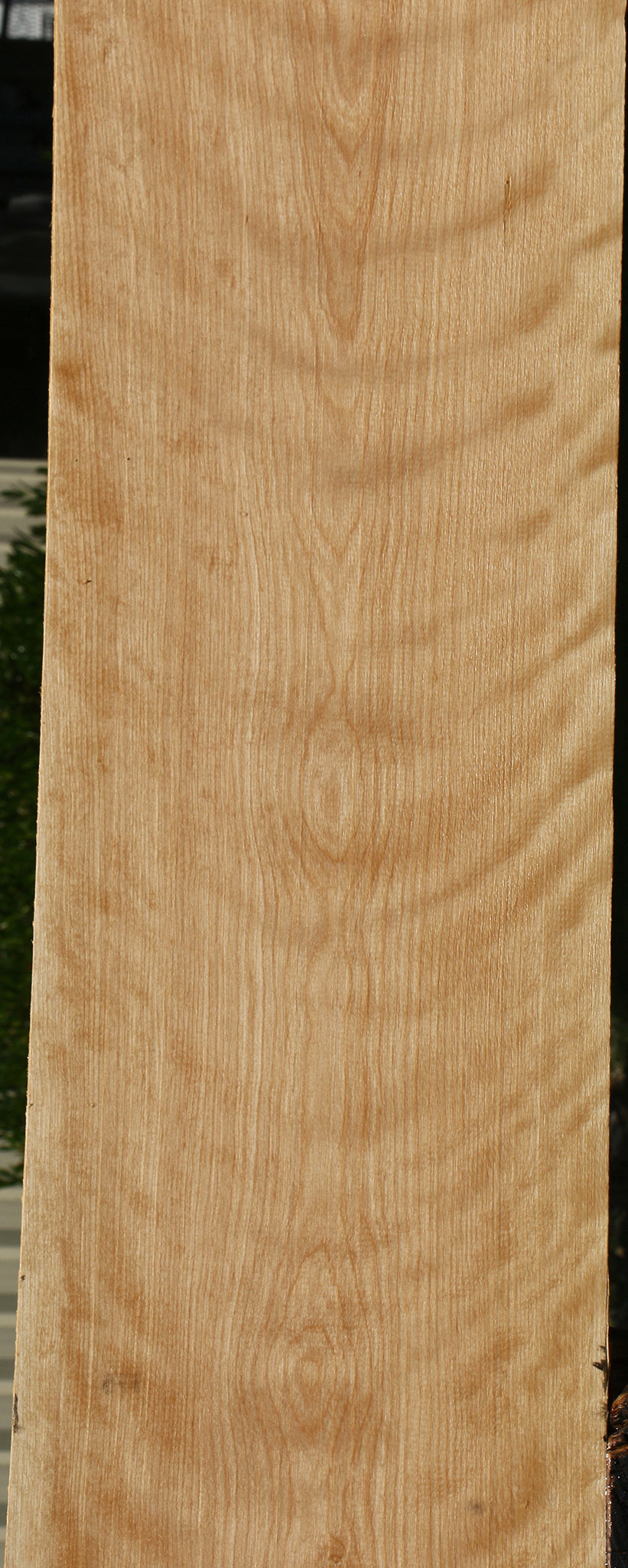 Figured Curly Birch Lumber