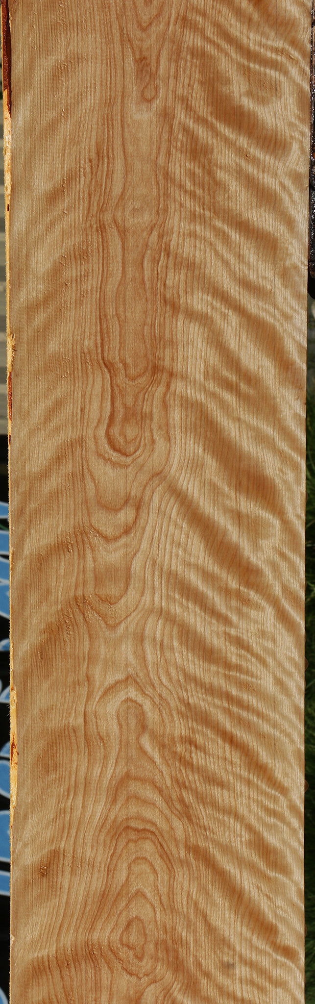 Extra Fancy Curly Birch Lumber
