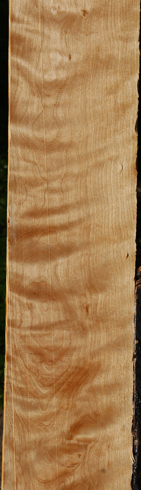 Extra Fancy Curly Birch Lumber