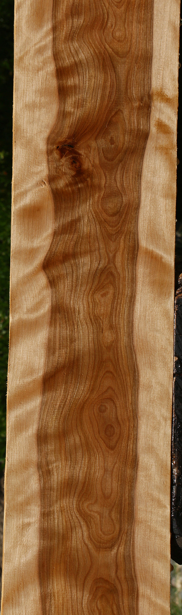Figured Curly Birch Lumber