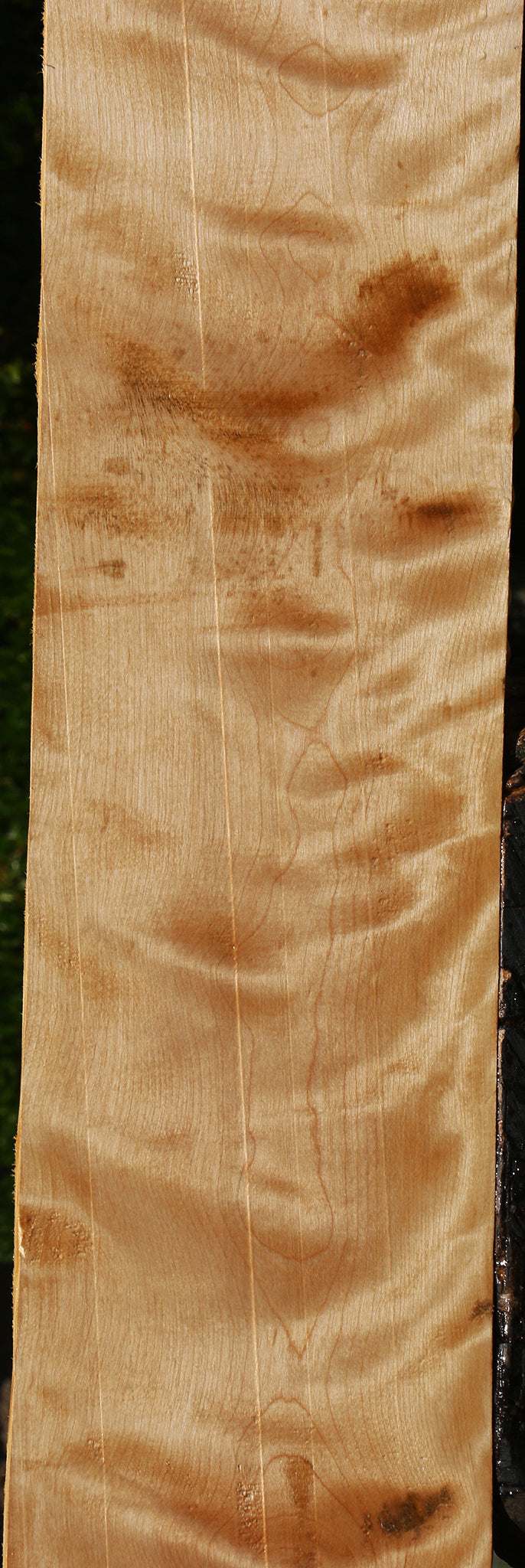 Figured Curly Birch Lumber