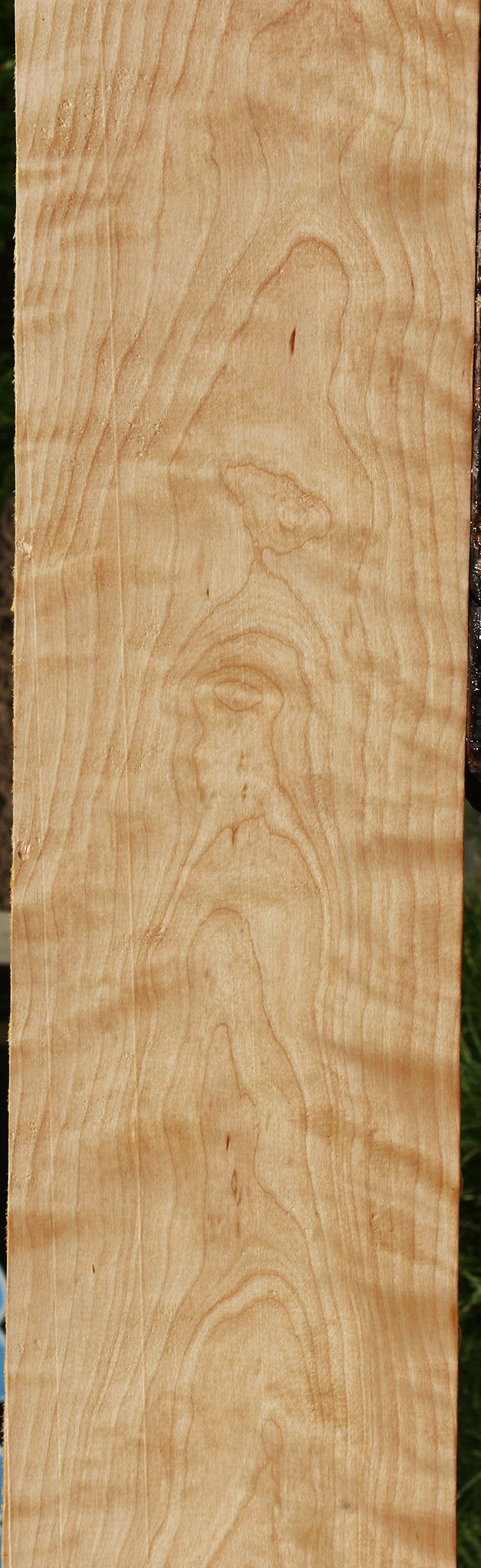 Figured Curly Birch Lumber