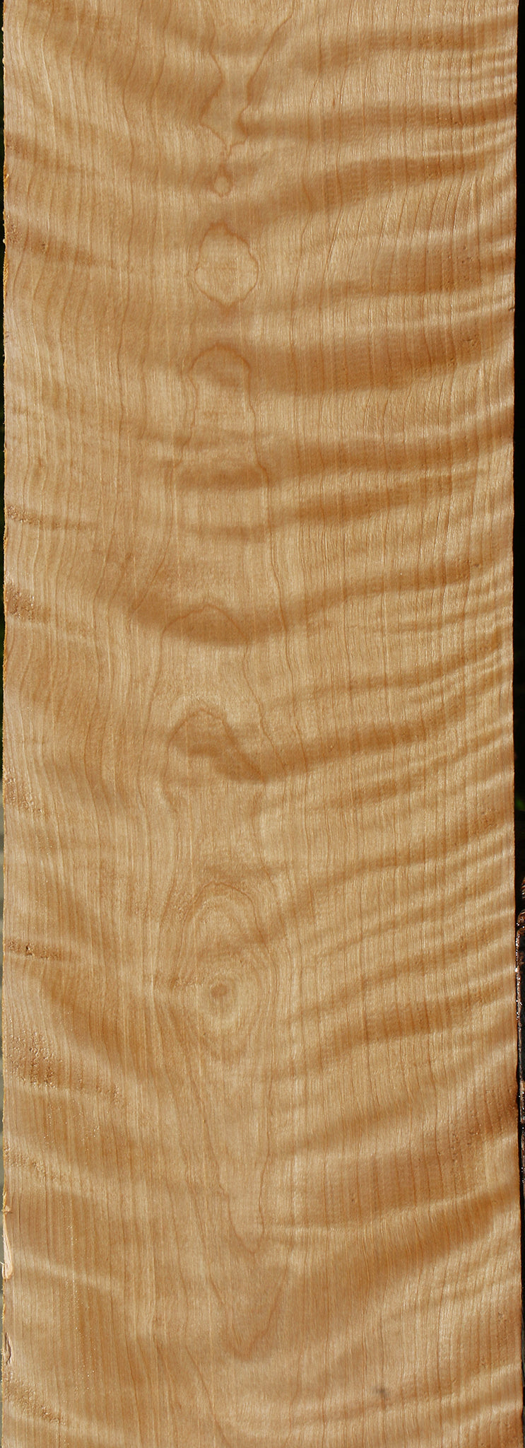 Extra Fancy Curly Birch Lumber