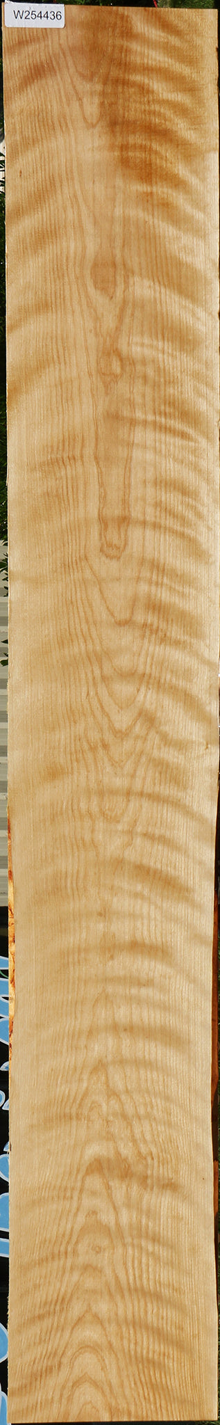 Extra Fancy Curly Birch Lumber