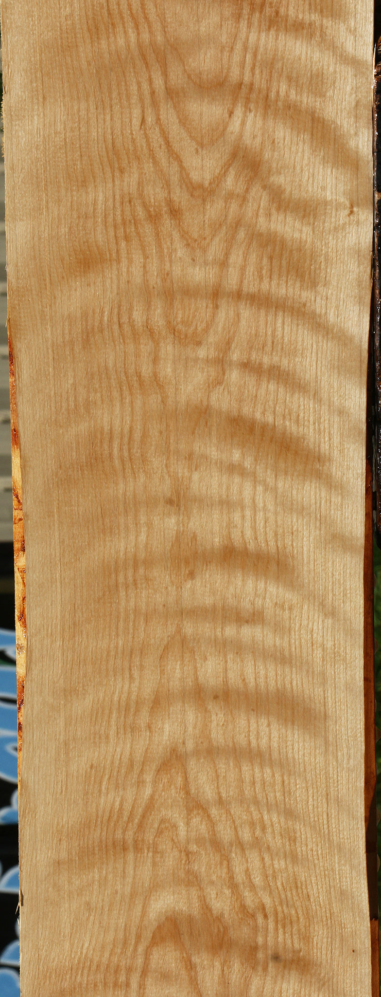 Extra Fancy Curly Birch Lumber
