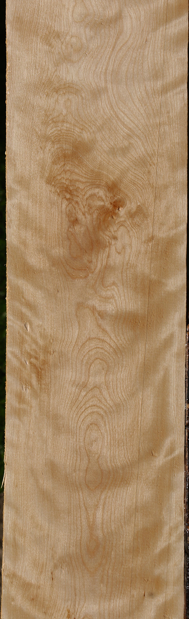 Figured Curly Birch Lumber