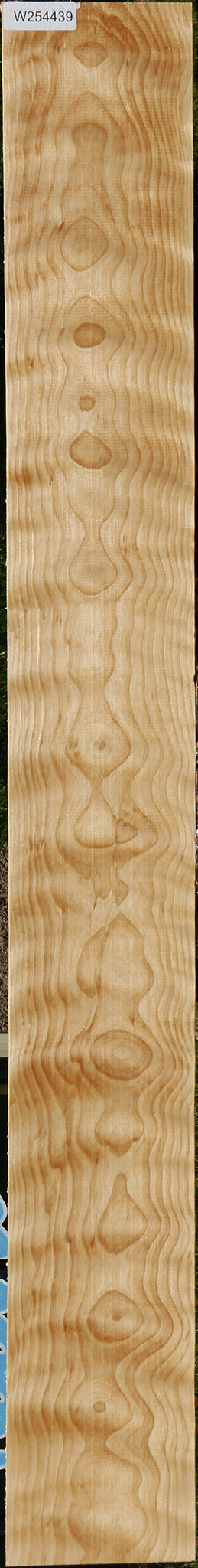 Extra Fancy Curly Birch Lumber