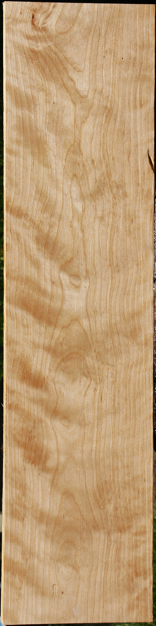 Figured Curly Birch Lumber