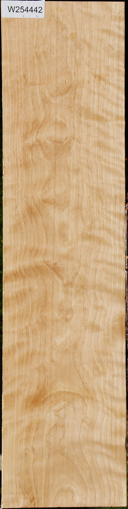 Figured Curly Birch Lumber