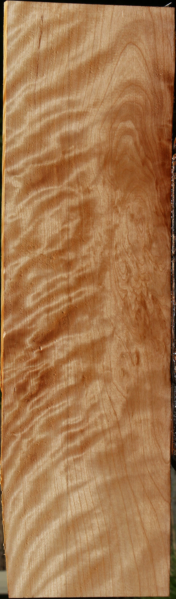 Extra Fancy Curly Birch Lumber