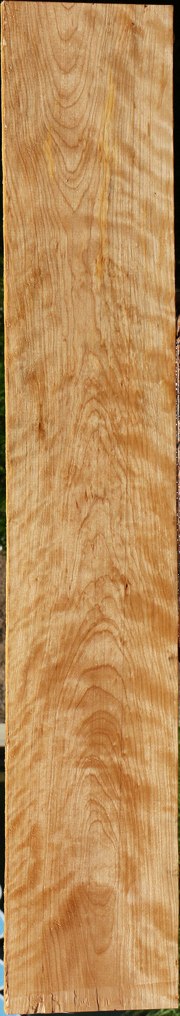Figured Curly Birch Lumber