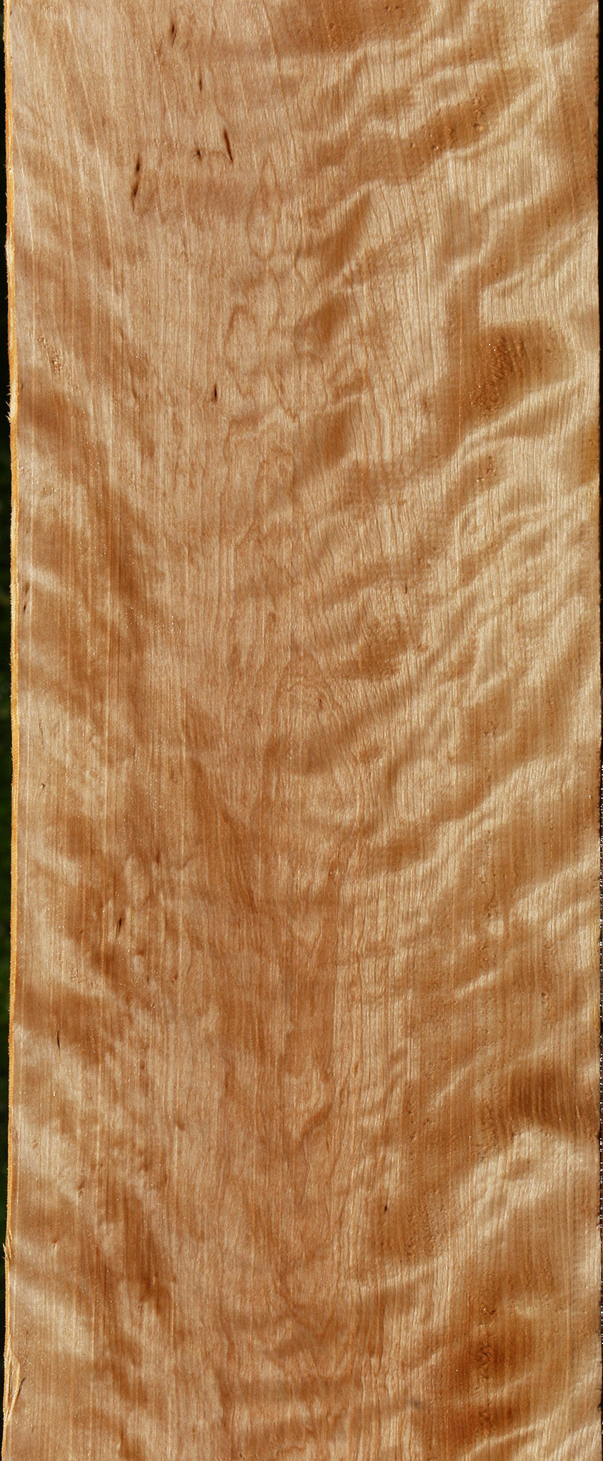 Extra Fancy Curly Birch Lumber