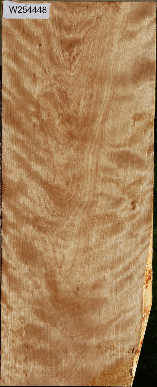 Extra Fancy Curly Birch Lumber