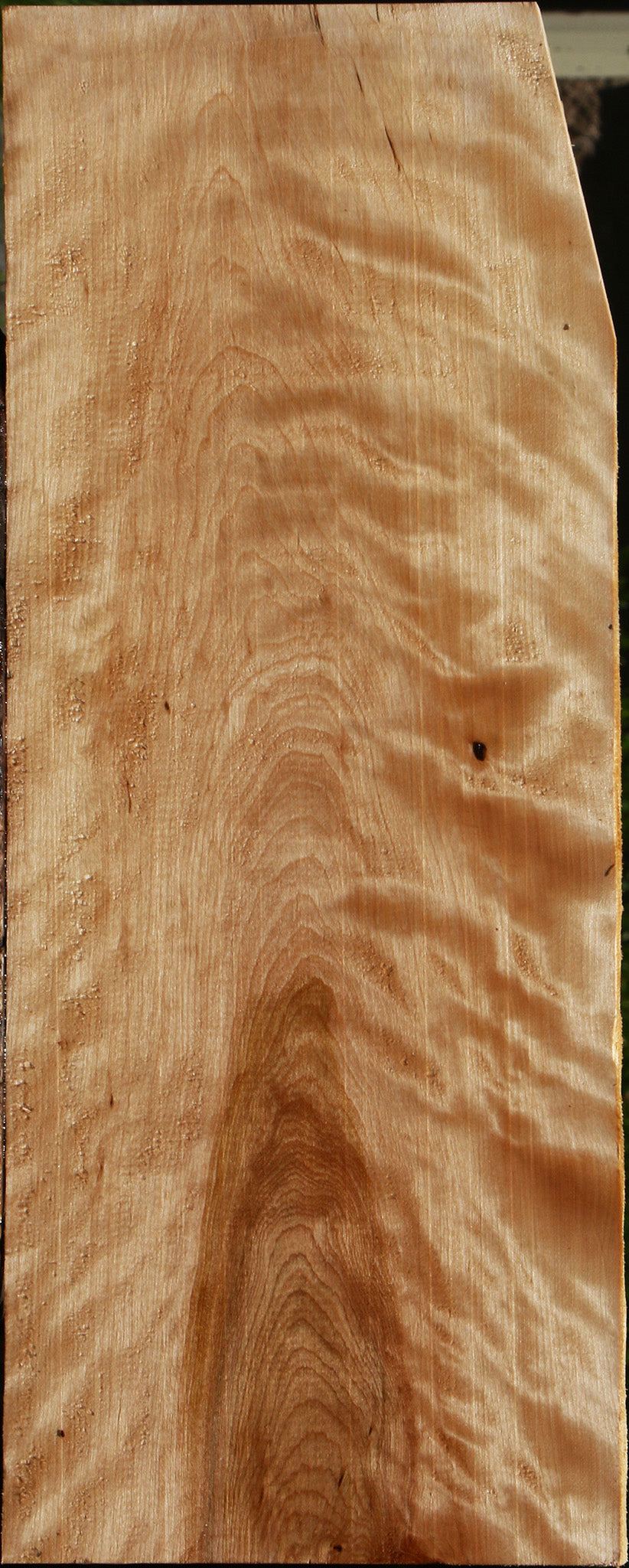 Extra Fancy Curly Birch Lumber