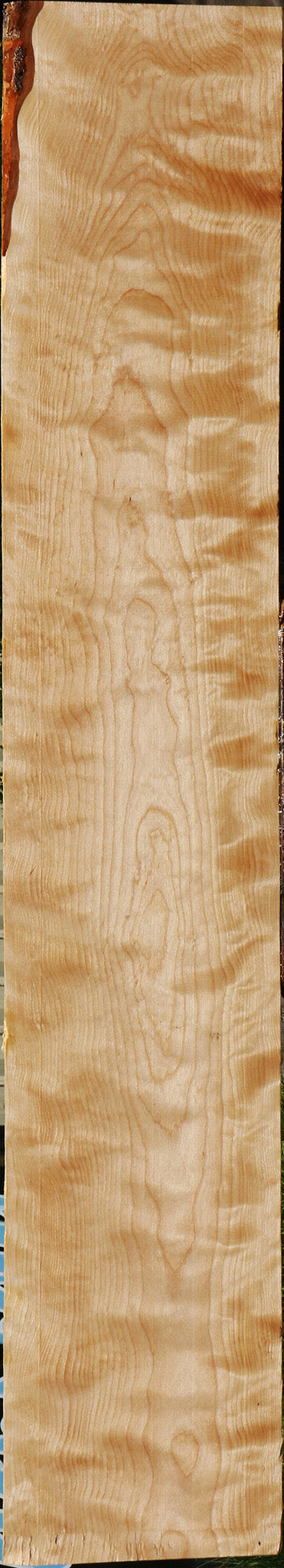 Figured Curly Birch Lumber
