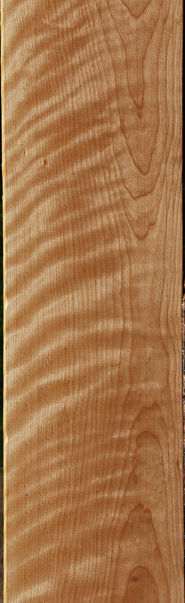 Extra Fancy Curly Birch Lumber