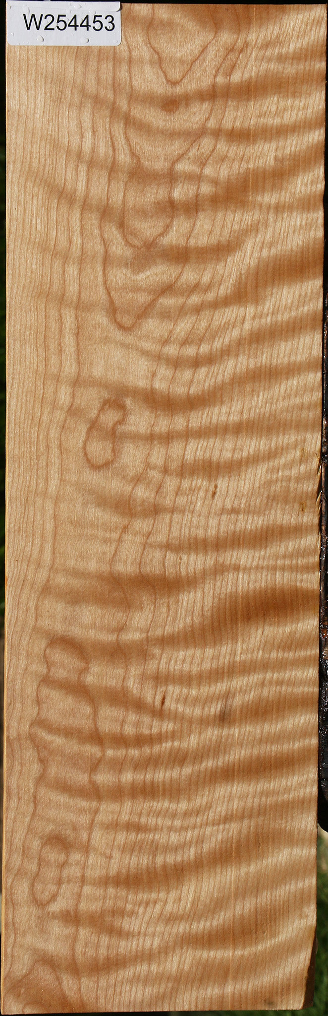 Extra Fancy Curly Birch Lumber