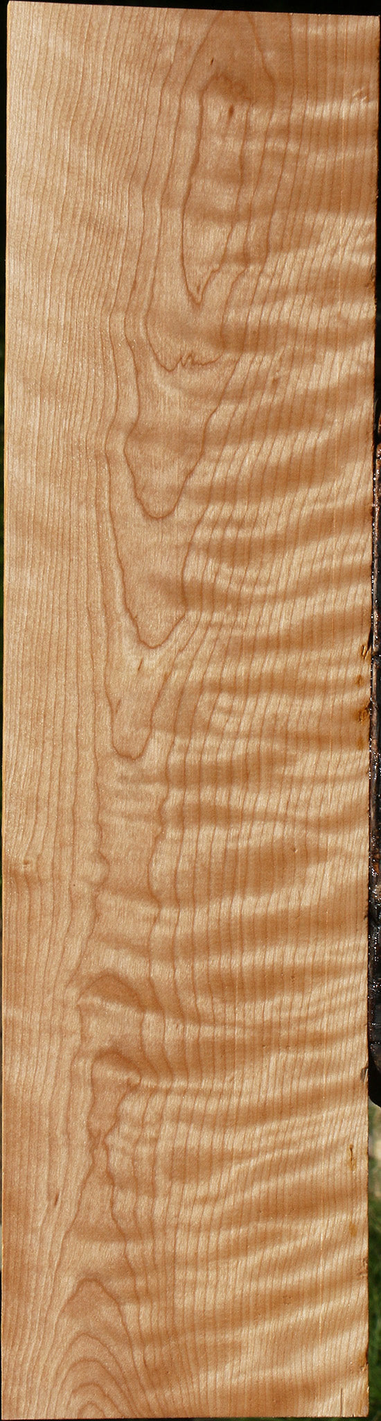 Figured Curly Birch Lumber