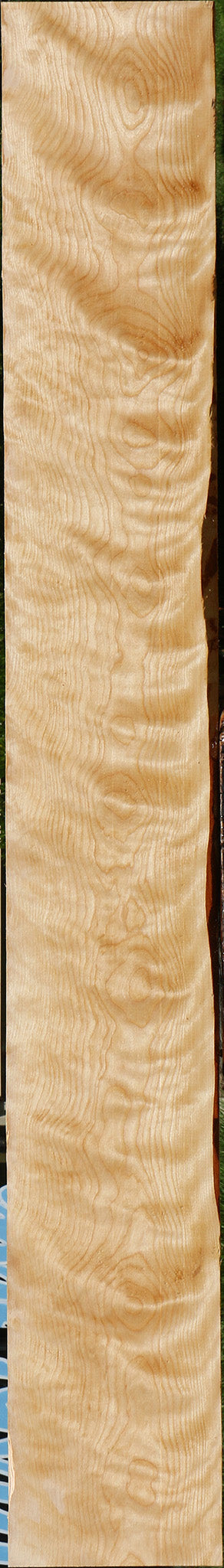 Extra Fancy Curly Birch Lumber