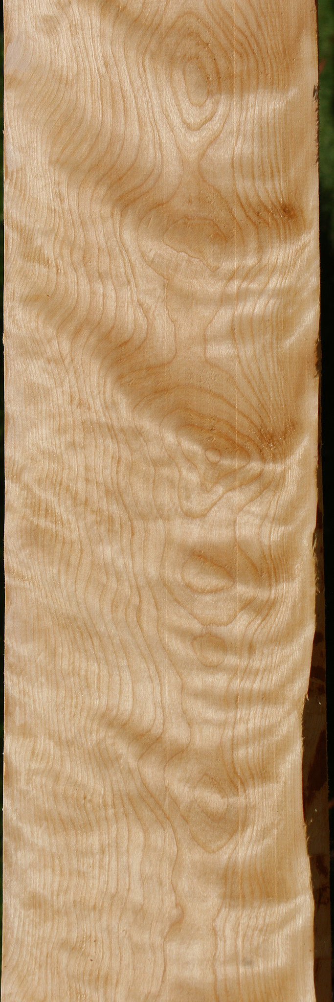 Extra Fancy Curly Birch Lumber
