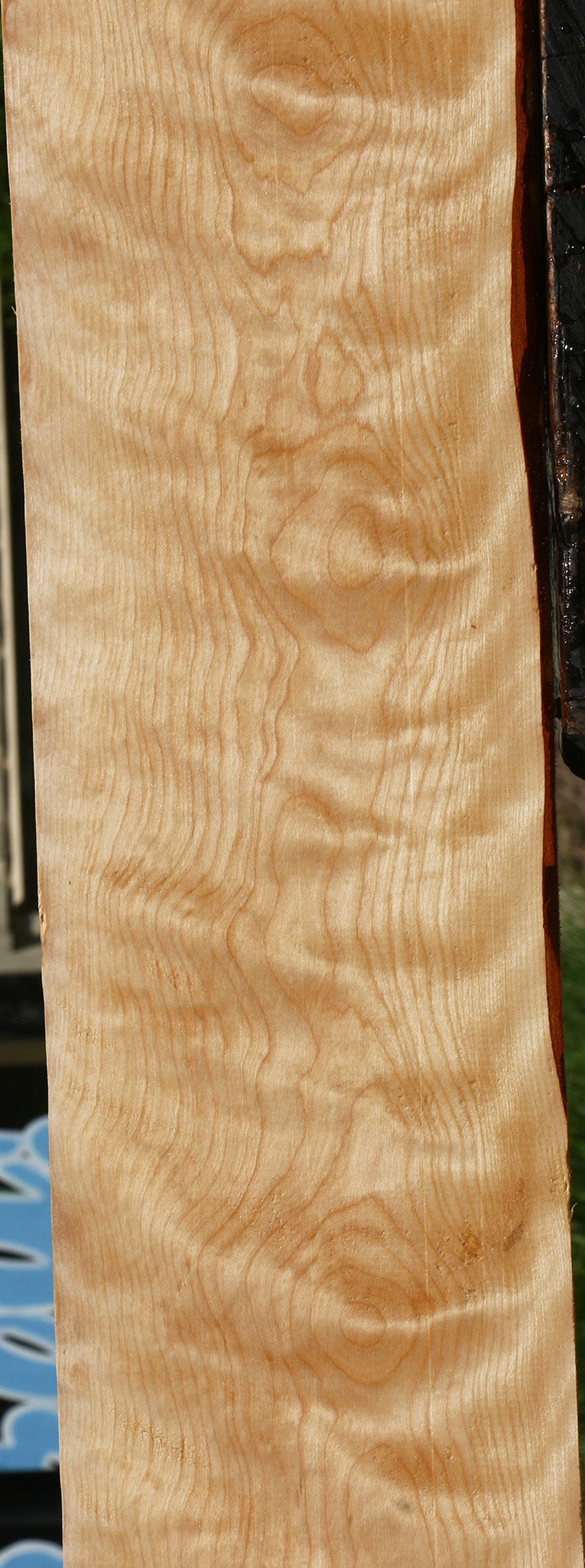 Extra Fancy Curly Birch Lumber