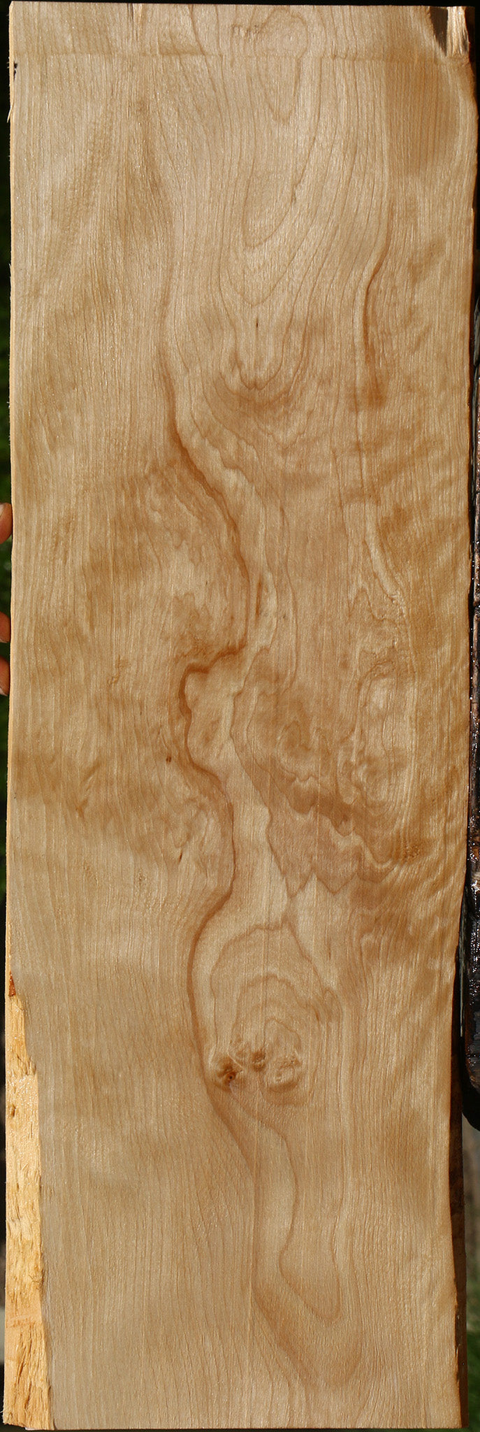 Figured Curly Birch Lumber
