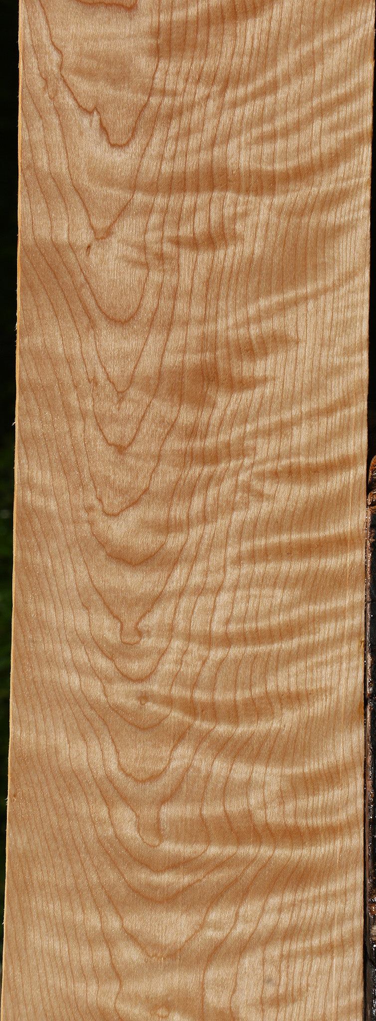 Figured Curly Birch Lumber