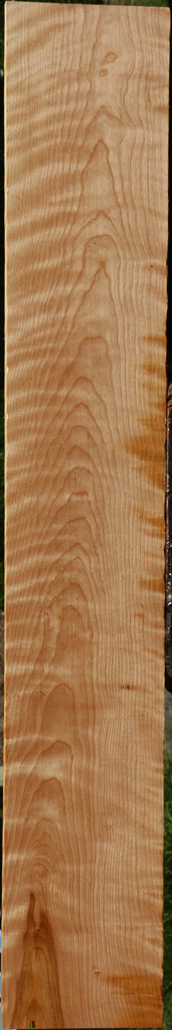 Figured Curly Birch Lumber