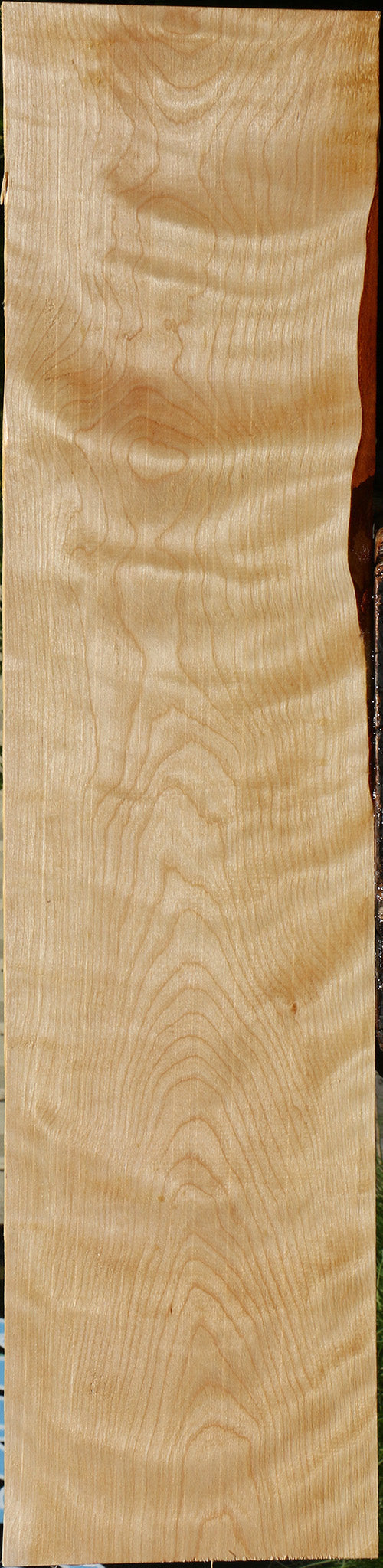 Figured Curly Birch Lumber