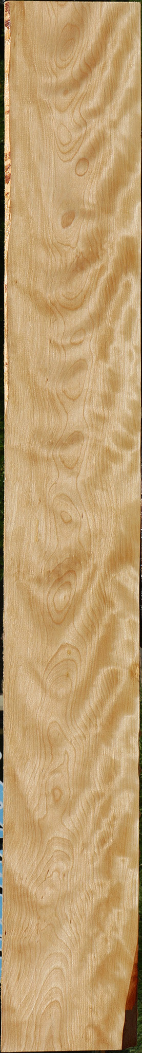 Extra Fancy Curly Birch Lumber