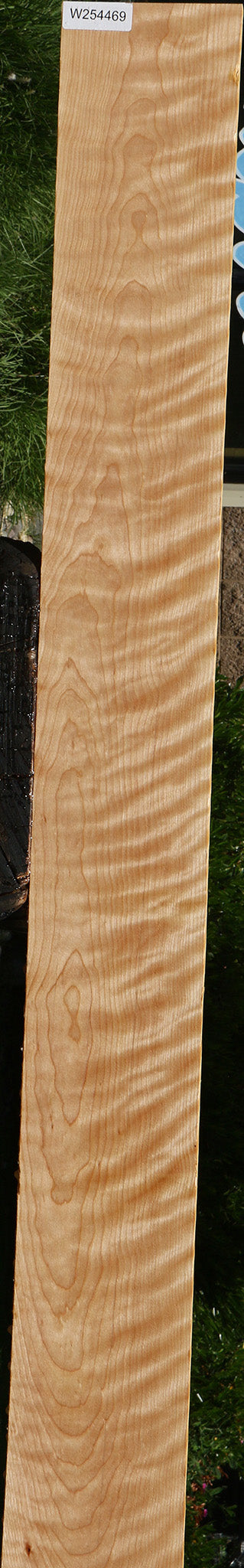 Extra Fancy Curly Birch Lumber
