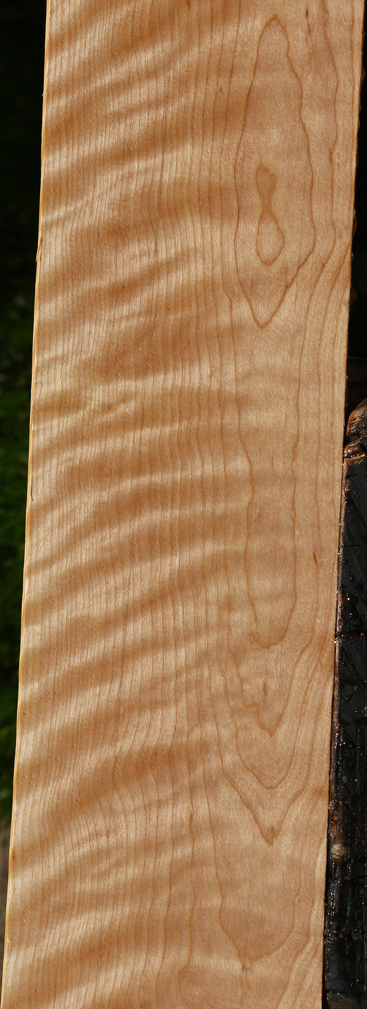 Extra Fancy Curly Birch Lumber