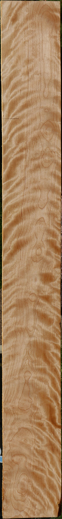 Extra Fancy Curly Birch Lumber